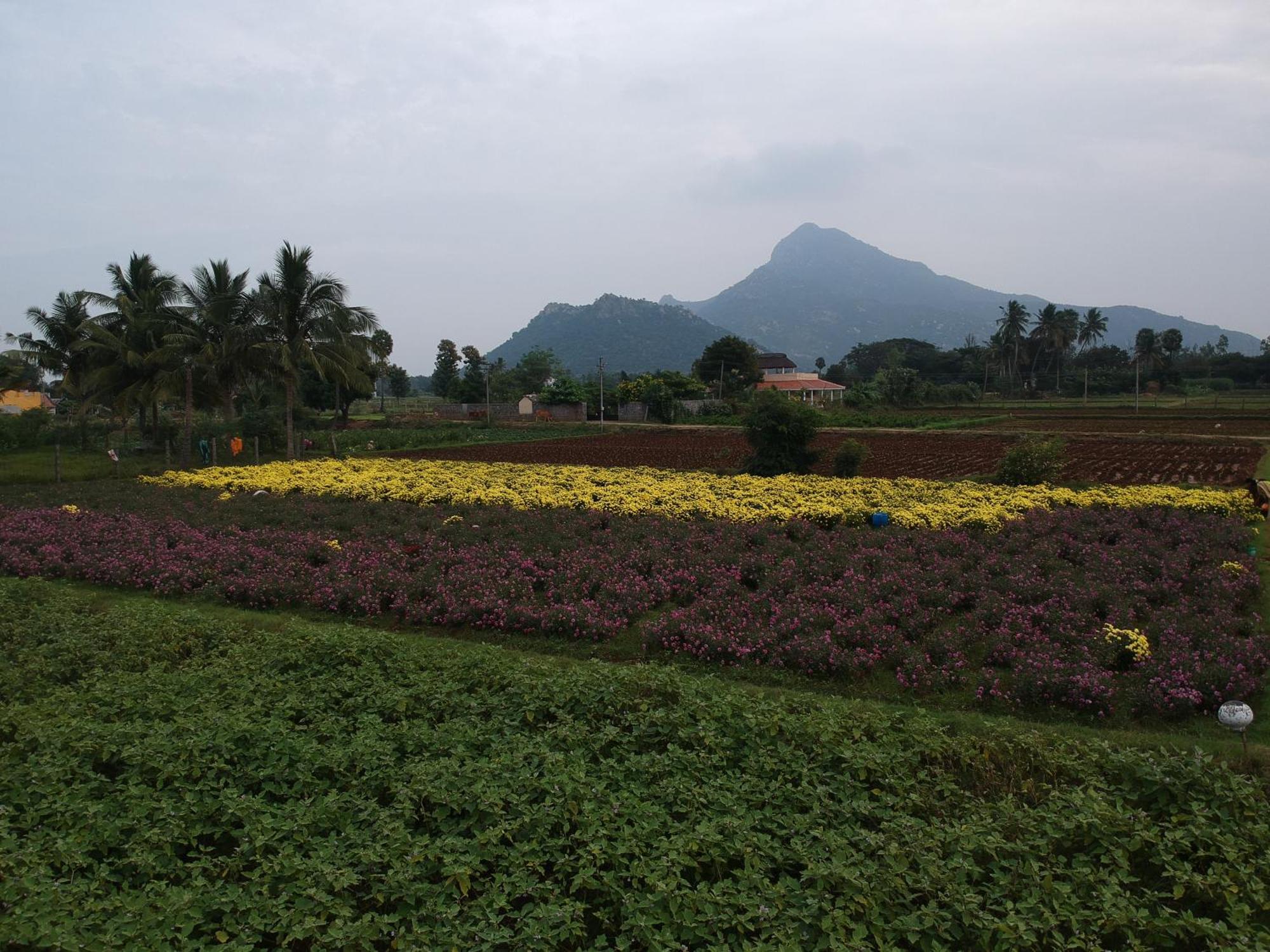 Rpm Home Stay Tiruvannamalai Luaran gambar